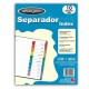 SEPARADOR WILSON JONES P1347 TAMAÑO CARTA CON 10 DIVISIONES DE PAPEL CON CEJAS MULTICOLOR 1 JUEGO - Envío Gratuito